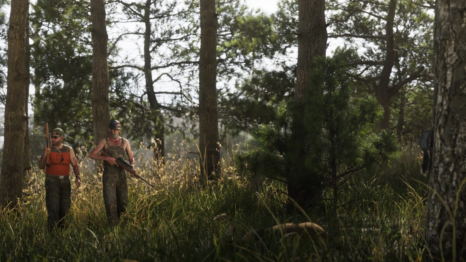 Two hunters walk through tall grass in a sun-dappled pine forest.