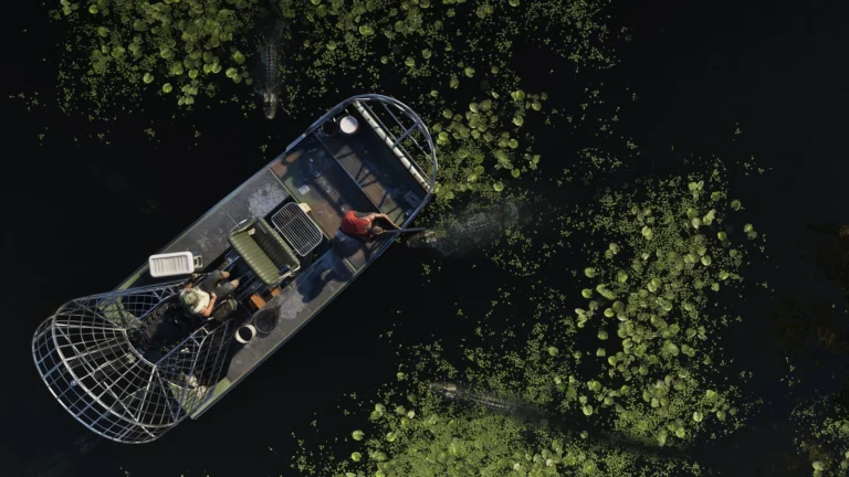 An airboat with two people moves through lily pads as alligators swim in dark marsh water.